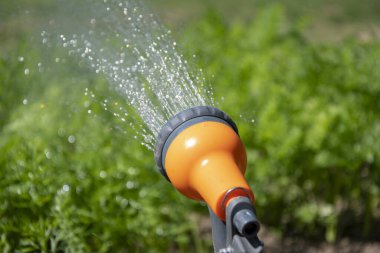 Bahçe fıskiyesinden, nehirlerde akan su, sulama bitkileri ve ekinler, yakın plan, seçici odak.