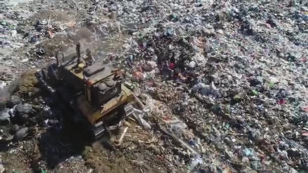 Depósito Lixo Cidade Aberta Aves Estão Voando Bulldozer Está Nivelando — Vídeo de Stock