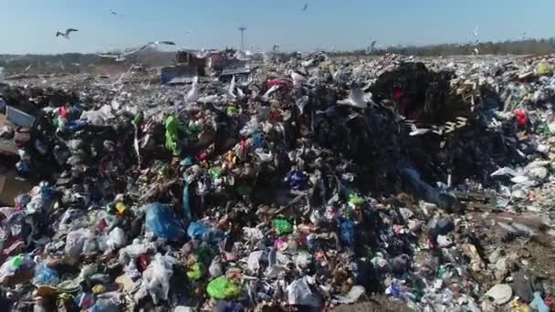 街のゴミ捨て場を ブルドーザー 空気中の写真廃棄物の山を平準化して飛んでいる 都市の環境問題 環境汚染 廃棄物処理のための埋立地 — ストック動画