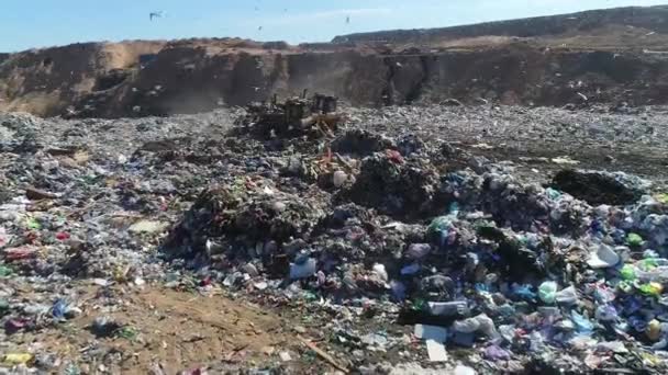 Ανοιχτή Χωματερή Πουλιά Πετούν Μπουλντόζα Ισοπεδώνει Σωρούς Αποβλήτων Αεροφωτογραφίες Έννοια — Αρχείο Βίντεο
