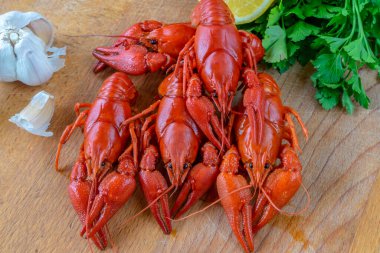 Kaynamış kırmızı kerevit masaya güzelce serilir, otlarla servis edilir, bira için atıştırmalık olarak..