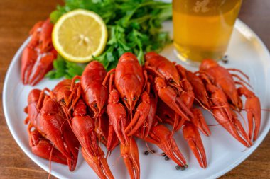 Tabakta kaynamış kırmızı kerevit, bir bardak light bira, taze otlar ve limon. Bira aperatifi, lezzet, kerevit eti..