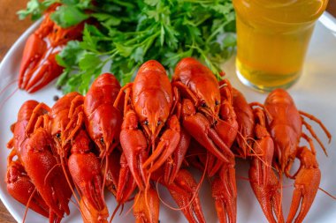 Tabakta haşlanmış kırmızı kerevit, bir bardak light bira, taze otlar. Bira aperatifi, lezzet, kerevit eti..