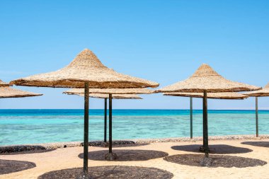 Tatilciler için tahta çubuklardan yapılmış hasır şemsiyeler ıssız bir sahilde, deniz manzarasına karşı..