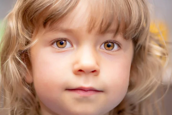 一个有着一头金发的小女孩的肖像 她的房间里有一个色彩斑斓的模糊背景 有着严肃的表情 近距离的 选择性的焦点 眼睛直视着相机 — 图库照片