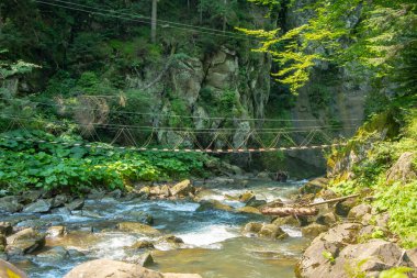 Askıya alınmış ahşap bir halat köprü bir dağ nehri, seçici odak noktası, kayalık kıyılar ve vahşi bitki örtüsü üzerine gerilmiştir. Konsept: yolculukta tehlikeli bir geçiş, turistler için bir yürüyüş yolu.