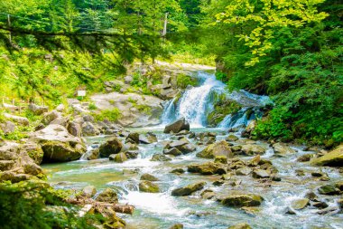 Dağ kıvrımlı bir nehir taşların arasında akar kayalar ve orman arasında, bir şelale ve fırtınalı su akıntısı.