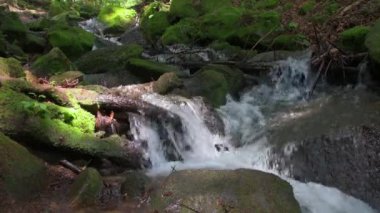 Dağ kıvrımlı nehir kayalar ve orman arasında akar, bir şelale ve fırtınalı su akıntısı.