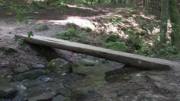Wooden Bridge Winding Mountain Stream Flows Rocks Rocks Forest — Stock Video