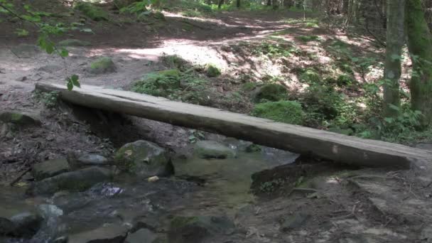 Een Houten Brug Een Kronkelende Bergstroom Die Tussen Rotsen Het — Stockvideo