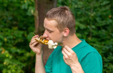 Bir adam ormanda bir çubuğa bağlanmış çiğ mantar yiyor. Konsept: çiğ gıda, mantar zehirlenmesi, ormanda hayatta kalma.