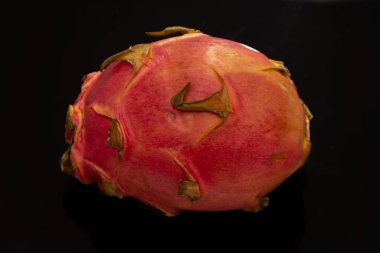 Stüdyoda sunulan tüm ejderha meyveleri karanlık bir arka planda dururlar.