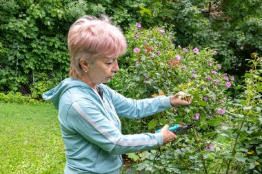 Yaşlı bir bahçıvan yazları kır evinde süs bitkileriyle ilgilenir.