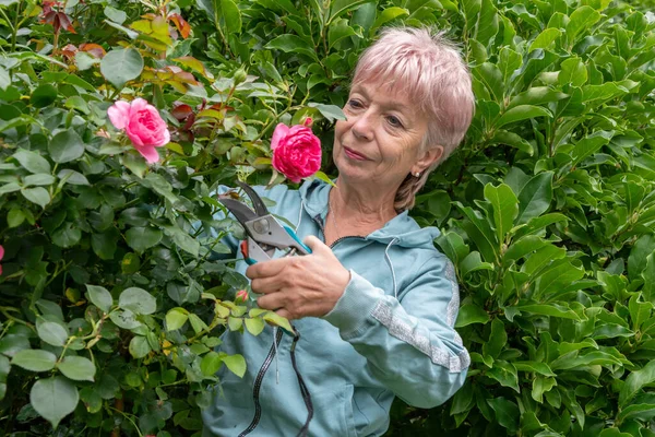 Evin yakınındaki yeşil bir arazide bitkilerle ilgilenme işi yapılıyor.