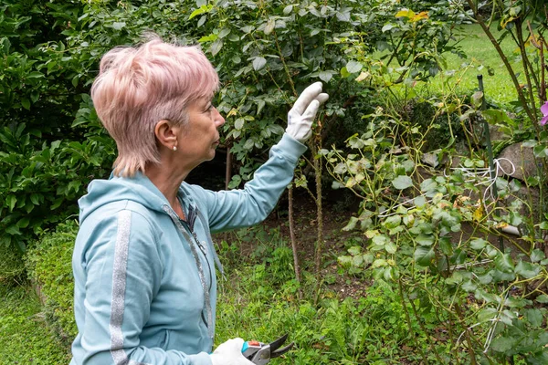 Bir kadın bahçeyle ilgilenirken solgun cilt bakımını budama makası ile kesiyor.