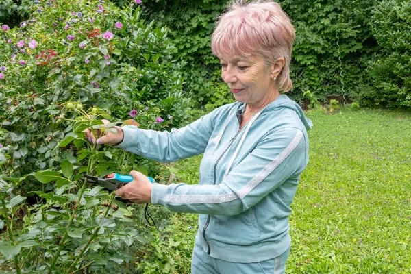Yaşlı bir bahçıvan yazın arka bahçede bahçe işlerini yapar.