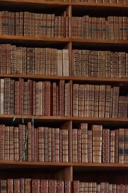 Avusturya, Viyana, 6 Ağustos 2025: Avusturya Ulusal Kütüphanesi 'nin tarihi salonundaki ahşap raflarda antik deri kitap sıraları