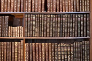 Avusturya, Viyana, 6 Ağustos 2025: Tarihi Barok Salonu 'nda sıralanmış antik deri kitap ciltleri ve antika basımlarıyla Avusturya Ulusal Kütüphanesi rafları