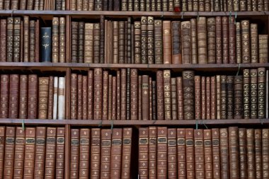 Avusturya, Viyana, 6 Ağustos 2025: Tarihi salonun içindeki antik ciltler ve deri ciltlerle dolu Avusturya Ulusal Kütüphanesi kitap rafları