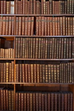 Avusturya, Viyana, 6 Ağustos 2025: Tarihi Barok salonundaki Avusturya Ulusal Kütüphanesi 'nin ahşap raflarında antik kitap sıraları