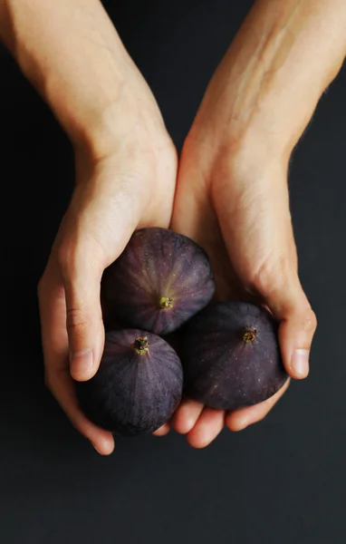 Mani che tengono i fichi — Foto Stock