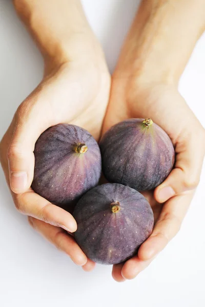 İncir holding eller