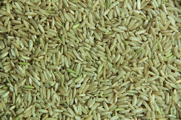 Рис крупным планом — стоковое фото