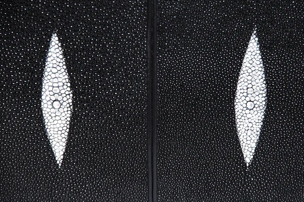 Stingrays arka plan dokusu