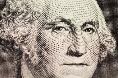 Washington'dan portre Dolar'da