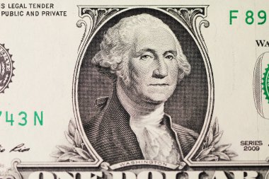 Washington'dan portre Dolar'da
