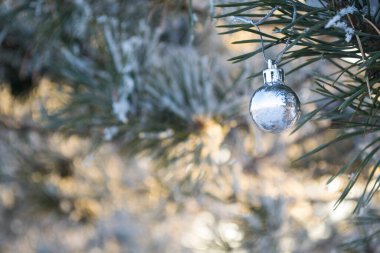 Karlı bir köknar ağacının arka planında Noel balosu. Yeni Yıl 2021