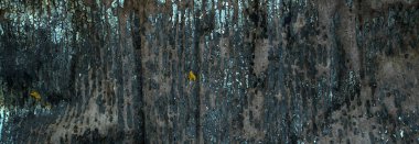 Eski bir inleme, pürüzlü bir duvar..