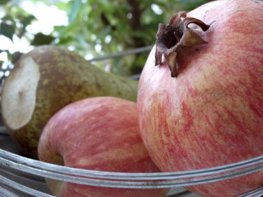 Armut ve elmadan oluşan bir zemin üzerinde tam nar..