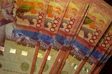 5,000 tenge banknotunun hayranı. Kazakistan.
