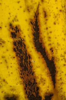 Metal boyada pas görünüyor..