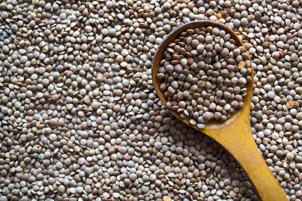 Čočka na dřevěné lžíci, organické pozadí. Dietní příklad pro vegany. — Stock fotografie