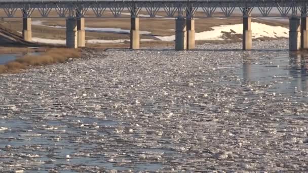 Πυκνά κομμάτια πάγου στο ποτάμι το χειμώνα ξεπαγώνουν. — Αρχείο Βίντεο