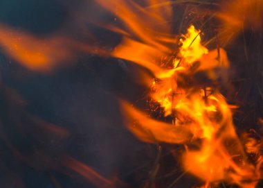 Ateş ve duman yayılır, ot yakılır, doğayla ilgilenilir..