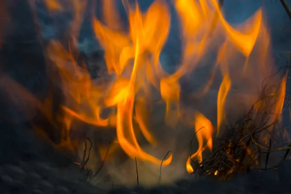 Propagation du feu et de la fumée, herbe brûlante, prendre soin de la nature. — Photo