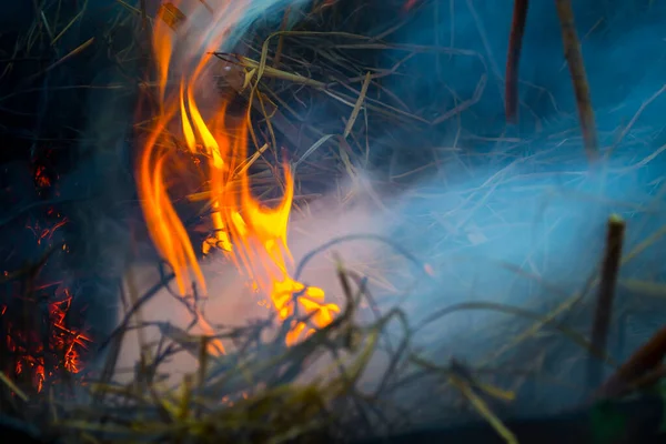 Šíření ohně a kouře, pálení trávy, péče o přírodu. — Stock fotografie