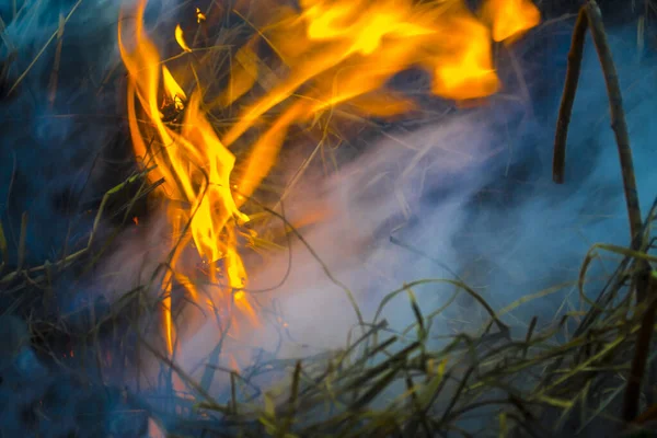 Распространение огня и дыма, жжение травы, забота о природе. — стоковое фото
