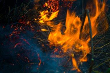 Ateş ve duman yayılır, ot yakılır, doğayla ilgilenilir..