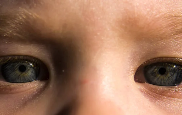 Les yeux d'une petite fille 2 ans gros plan. — Photo