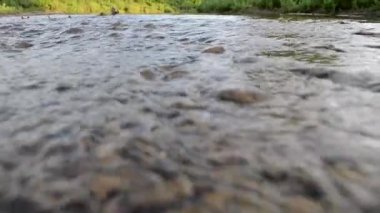 Nehir akıntısı akıyor. Suyu akan nehir.