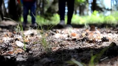 Parkta yürüyen kızın bacakları, cesedin iyileşmesi..
