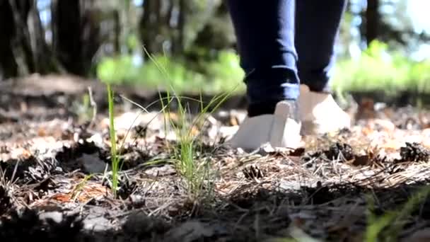 Le gambe della ragazza che cammina nel parco, il recupero del corpo. — Video Stock