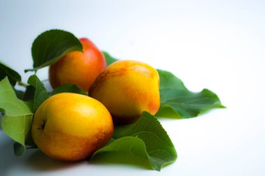 Bir nektarin tek renkli arka planda yatar. Dietic protact, antik insanların bir ürünü..