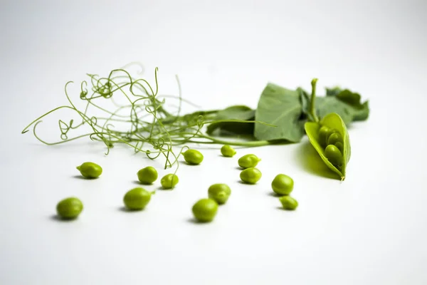 Vainas de guisantes verdes frescos con follaje sobre un fondo blanco. Una vaina está abierta, los guisantes son visibles. — Foto de Stock