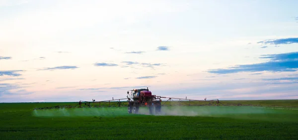 Фото пшеничного поля Распыляя трактор агрохимическими или агрохимическими препаратами над молодым пшеничным полем в большинстве случаев, агрохимия относится к пестицидам, таким как инсектициды, гербициды — стоковое фото