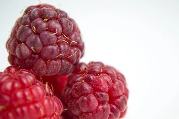 La framboise, fruit comestible d'une multitude d'espèces végétales du genre Rubus de la famille des roses. Riche en vitamines, antioxydants et fibres, les framboises sont un fruit délicieux avec de nombreux bienfaits pour la santé — Photo